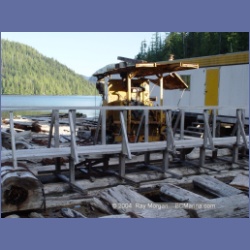 2003_1852_Houghton_Woodlot_Mereworth_Sound.html