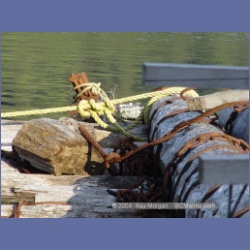 2003_1855_Houghton_Woodlot_Mereworth_Sound.html