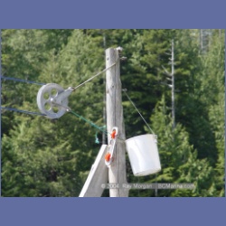 2003_1871_Houghton_Woodlot_Mereworth_Sound.html
