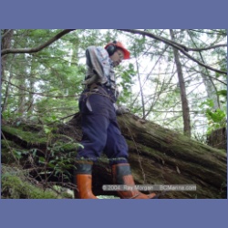 2003_1886_Houghton_Woodlot_Mereworth_Sound.html
