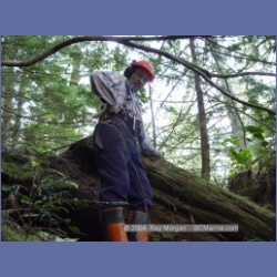 2003_1887_Houghton_Woodlot_Mereworth_Sound.html