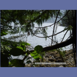 2003_1891_Houghton_Woodlot_Mereworth_Sound.html