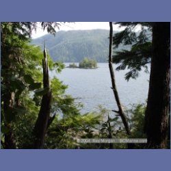 2003_1894_Houghton_Woodlot_Mereworth_Sound.html