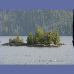 2003_1895_Houghton_Woodlot_Mereworth_Sound.html