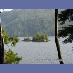 2003_1896_Houghton_Woodlot_Mereworth_Sound.html