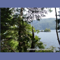 2003_1897_Houghton_Woodlot_Mereworth_Sound.html