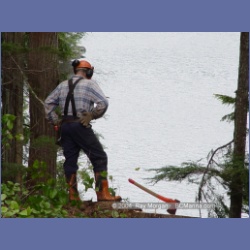 2003_1956_Houghton_Woodlot_Mereworth_Sound.html