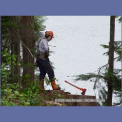 2003_1957_Houghton_Woodlot_Mereworth_Sound.html