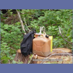 2003_1987_Houghton_Woodlot_Mereworth_Sound.html