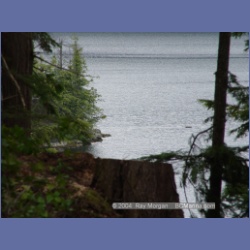 2003_1990_Houghton_Woodlot_Mereworth_Sound.html