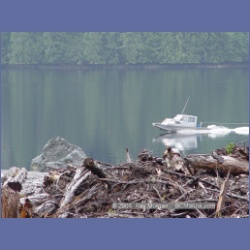 2003_2018_Houghton_Woodlot_Mereworth_Sound.html
