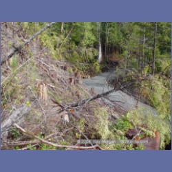 2003_2074_Houghton_Woodlot_Mereworth_Sound.html