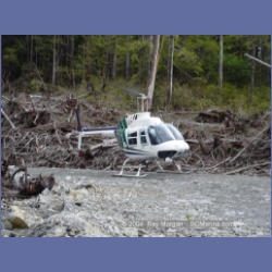 2003_2085_Houghton_Woodlot_Mereworth_Sound.html