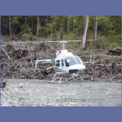 2003_2087_Houghton_Woodlot_Mereworth_Sound.html