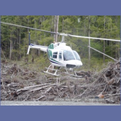 2003_2088_Houghton_Woodlot_Mereworth_Sound.html