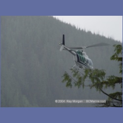 2003_2090_Houghton_Woodlot_Mereworth_Sound.html