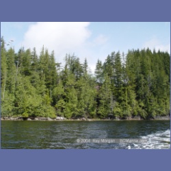 2003_2091_Houghton_Woodlot_Mereworth_Sound.html