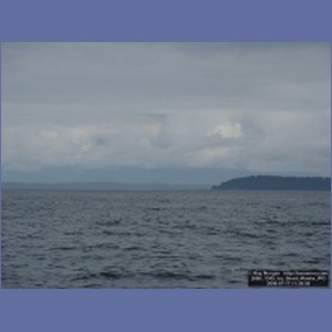 2006_1349_Icy_Strait_Alaska.JPG
