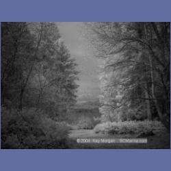 2003_1304_Conover_Cove_IR.html