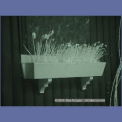 2003_1306_Conover_Cove_IR.html