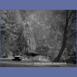 2003_1320_Conover_Cove_IR.html