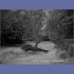 2003_1323_Conover_Cove_IR.html