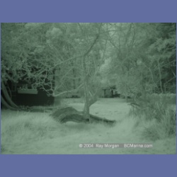 2003_1324_Conover_Cove_IR.html