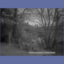 2003_1332_Conover_Cove_IR.html