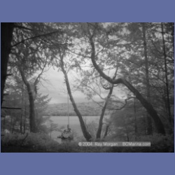 2003_1338_Conover_Cove_IR.html