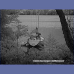 2003_1341_Conover_Cove_IR.html