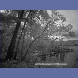 2003_1348_Conover_Cove_IR.html