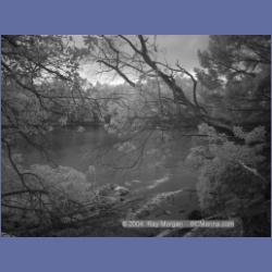 2003_1351_Conover_Cove_IR.html
