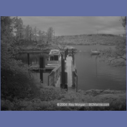 2003_1358_Conover_Cove_IR.html