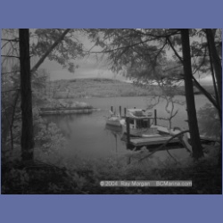 2003_1362_Conover_Cove_IR.html