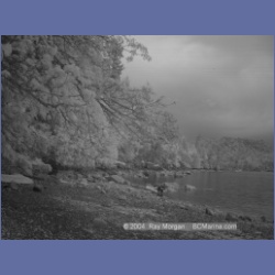 2003_1476_Montague_Harbour_Galiano_Island_IR.html