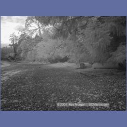 2003_1478_Montague_Harbour_Galiano_Island_IR.html