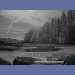 2003_2704_Dempster_Island_Barkley_Sound_IR.html