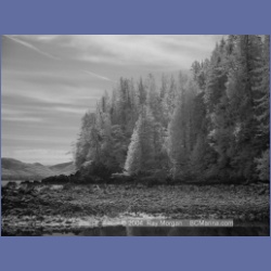 2003_2706_Dempster_Island_Barkley_Sound_IR.html