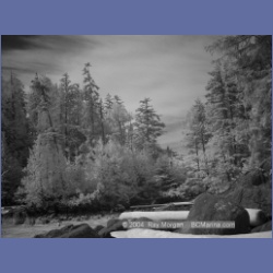 2003_2711_Dempster_Island_Barkley_Sound_IR.html
