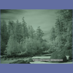 2003_2712_Dempster_Island_Barkley_Sound_IR.html