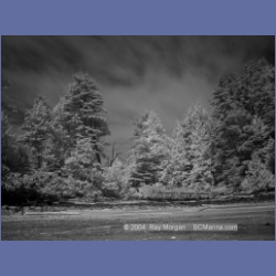2003_2713_Dempster_Island_Barkley_Sound_IR.html