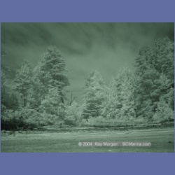 2003_2714_Dempster_Island_Barkley_Sound_IR.html