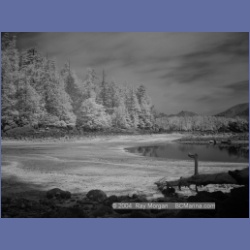 2003_2715_Dempster_Island_Barkley_Sound_IR.html