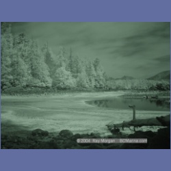 2003_2716_Dempster_Island_Barkley_Sound_IR.html