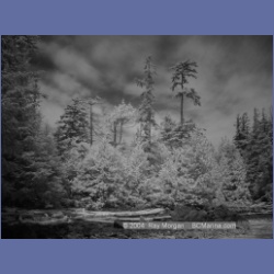 2003_2718_Dempster_Island_Barkley_Sound_IR.html