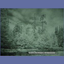 2003_2719_Dempster_Island_Barkley_Sound_IR.html