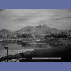 2003_2724_Dempster_Island_Barkley_Sound_IR.html