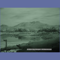 2003_2725_Dempster_Island_Barkley_Sound_IR.html