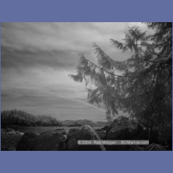 2003_2727_Dempster_Island_Barkley_Sound_IR.html