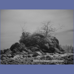 2003_2729_Dempster_Island_Barkley_Sound_IR.html